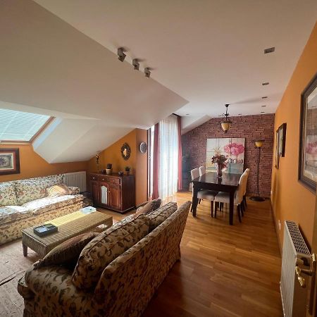 Atractivo Atico 2 Habitaciones ビリャビシオサ エクステリア 写真