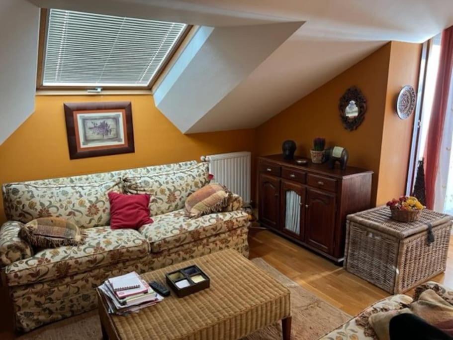 Atractivo Atico 2 Habitaciones ビリャビシオサ エクステリア 写真