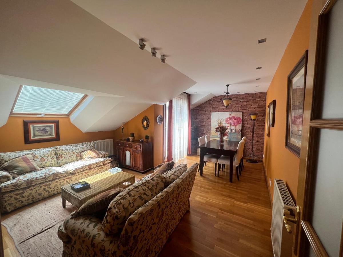 Atractivo Atico 2 Habitaciones ビリャビシオサ エクステリア 写真